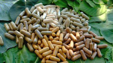 Various herbal supplement capsules. Selective focus. nature.
