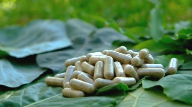Various herbal supplement capsules. Selective focus. nature.