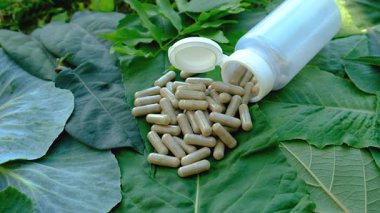 Various herbal supplement capsules. Selective focus. nature.