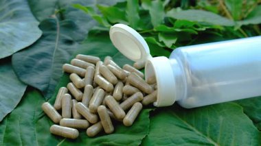 Various herbal supplement capsules. Selective focus. nature.