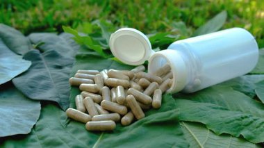 Various herbal supplement capsules. Selective focus. nature.