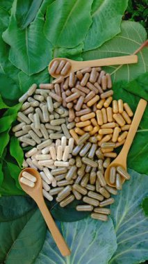 Various herbal supplement capsules. Selective focus. nature.