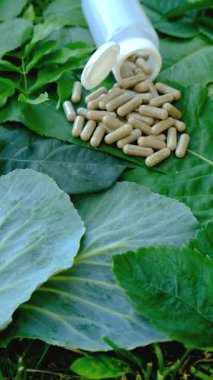 Various herbal supplement capsules. Selective focus. nature.