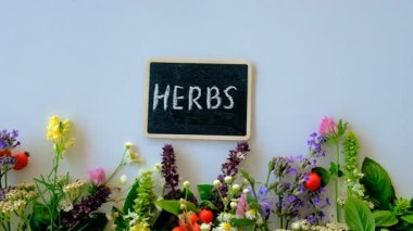 Various medicinal herbs on a white background. Selective focus. Nature.