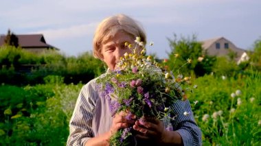 Şifalı otları olan bir kadın. Seçici odaklanma. Doğa.