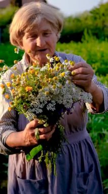 Şifalı otları olan bir kadın. Seçici odaklanma. Doğa.