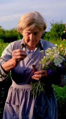 Şifalı otları olan bir kadın. Seçici odaklanma. Doğa.