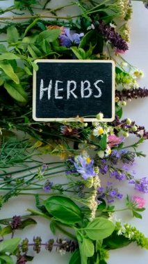 Various medicinal herbs on a white background. Selective focus. Nature.
