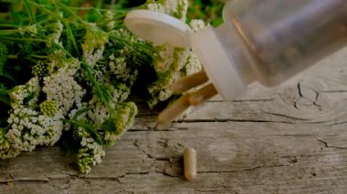 Kemik dokusu takviyesi ve konservatuar homeopati. Seçici odaklanma. Doğa.