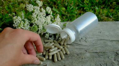 Kemik dokusu takviyesi ve konservatuar homeopati. Seçici odaklanma. Doğa.