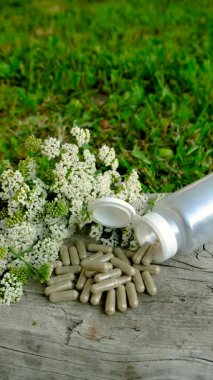 Kemik dokusu takviyesi ve konservatuar homeopati. Seçici odaklanma. Doğa.