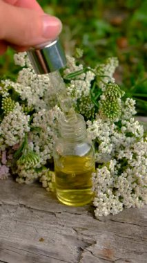 Kemik dokusu takviyesi ve konservatuar homeopati. Seçici odaklanma. Doğa.