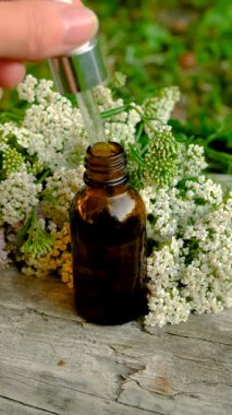 Kemik dokusu takviyesi ve konservatuar homeopati. Seçici odaklanma. Doğa.