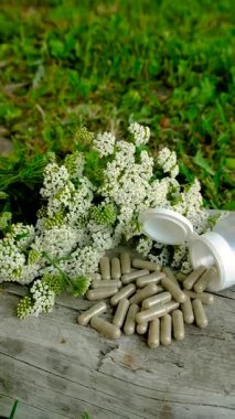 Kemik dokusu takviyesi ve konservatuar homeopati. Seçici odaklanma. Doğa.