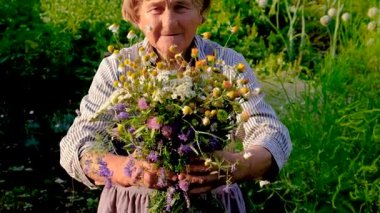 Şifalı otları olan bir kadın. Seçici odaklanma. Doğa.