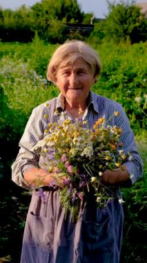 Şifalı otları olan bir kadın. Seçici odaklanma. Doğa.