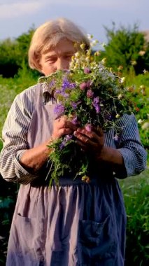 Şifalı otları olan bir kadın. Seçici odaklanma. Doğa.