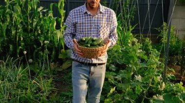 Bir çiftçi elinde salatalık hasadı tutuyor. Seçici odaklanma. yiyecek.