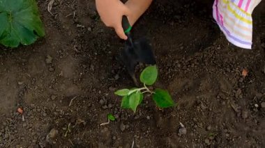 Bir çocuk bahçeye bir ağaç diker. Seçici odaklanma. Çocuk.