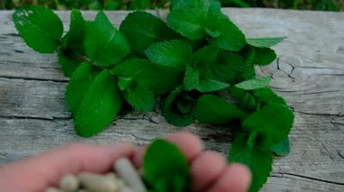 Peppermint essential oil in the garden. Selective focus. nature.