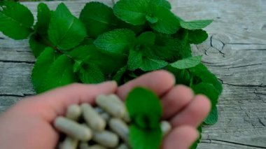 Peppermint essential oil in the garden. Selective focus. nature.