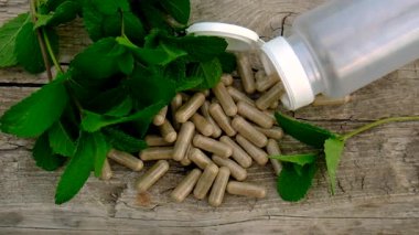 Peppermint essential oil in the garden. Selective focus. nature.