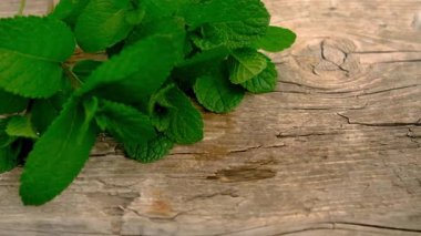 Peppermint essential oil in the garden. Selective focus. nature.