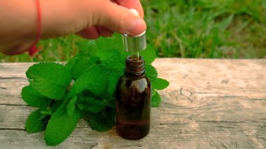 Peppermint essential oil in the garden. Selective focus. nature.