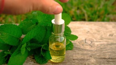 Peppermint essential oil in the garden. Selective focus. nature.