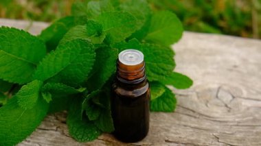 Peppermint essential oil in the garden. Selective focus. nature.