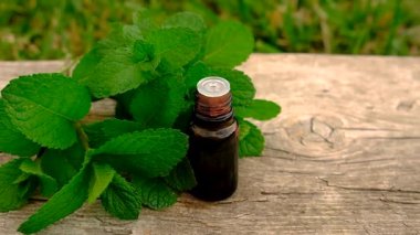 Peppermint essential oil in the garden. Selective focus. nature.