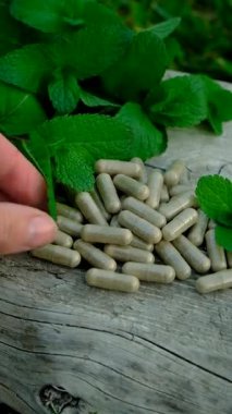 Peppermint essential oil in the garden. Selective focus. nature.