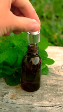 Peppermint essential oil in the garden. Selective focus. nature.