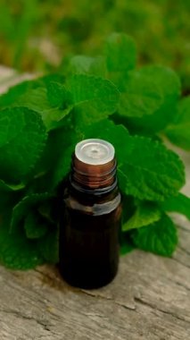 Peppermint essential oil in the garden. Selective focus. nature.