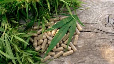 Cannabis supplements extract and oil. Selective focus. nature.