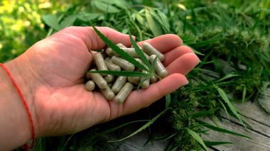 Cannabis supplements extract and oil. Selective focus. nature.