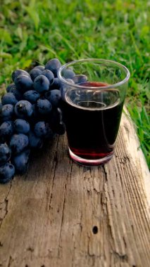 Resveratrol supplements and homeopathy. Selective focus. food.