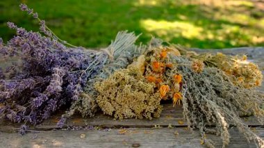 Kurumuş şifalı otları olan bir kadın. Seçici odaklanma. Doğa.