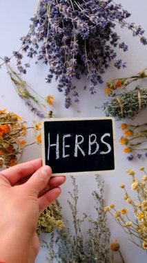 Kurutulmuş şifalı bitkiler ve çiçekler. Seçici odaklanma. Doğa.