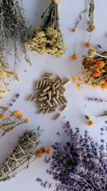 Kurutulmuş şifalı bitkiler ve çiçekler. Seçici odaklanma. Doğa.