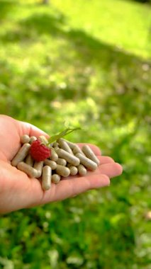 Raspberry leaf extract and supplements. Selective focus. Food.