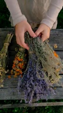 Kurumuş şifalı otları olan bir kadın. Seçici odaklanma. Doğa.