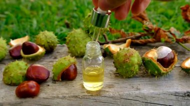 Horse chestnut tincture and supplements. Selective focus. Nature.