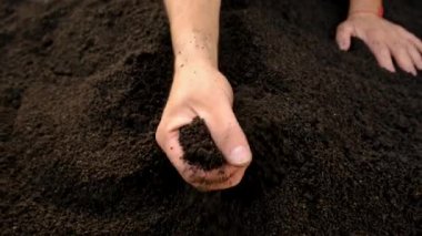Soil in a man hands. Selective focus. Nature.
