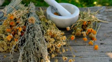 Kurumuş şifalı otları olan bir kadın. Seçici odaklanma. Doğa.