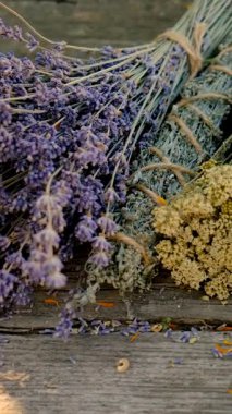 Kurumuş şifalı otları olan bir kadın. Seçici odaklanma. Doğa.