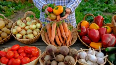 Çiftçi pazarında sebzeli bir adam. Seçici odaklanma. Yiyecek..