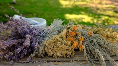 Kurumuş şifalı otları olan bir kadın. Seçici odaklanma. Doğa.