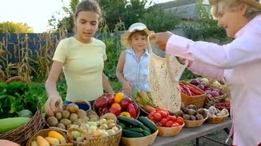 Sebze pazarında. Seçici odaklanma. Yiyecek..