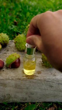 Horse chestnut tincture and supplements. Selective focus. Nature.